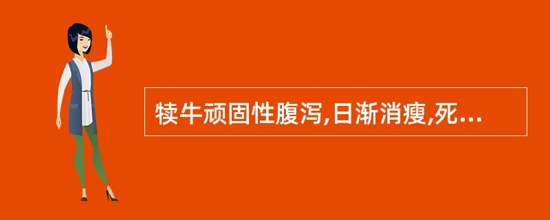 犊牛顽固性腹泻,日渐消瘦,死亡,剖检见肠粘膜有大小不等的结节,结节组织学检查见大