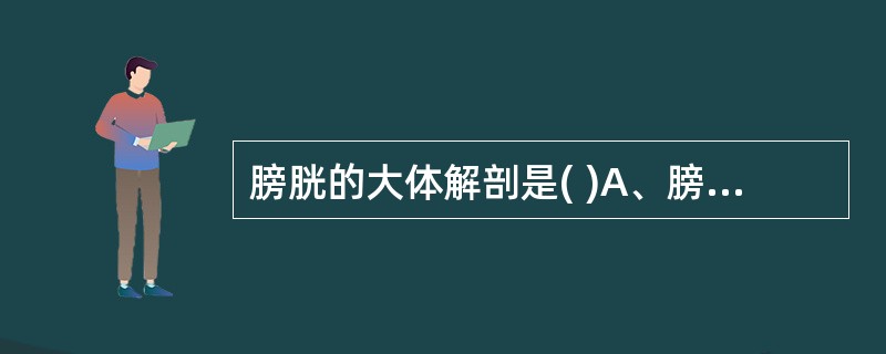 膀胱的大体解剖是( )A、膀胱的前部为钝圆的盲端称膀胱顶B、幼畜膀胱呈细长的囊状