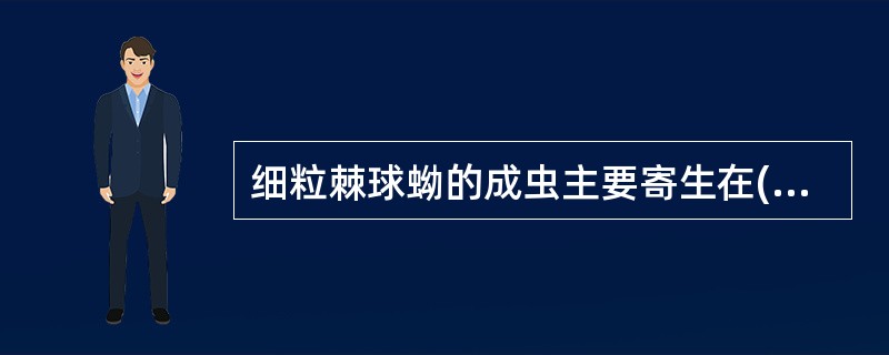 细粒棘球蚴的成虫主要寄生在( )。A、牛小肠B、羊小肠C、猪小肠D、犬小肠E、猫