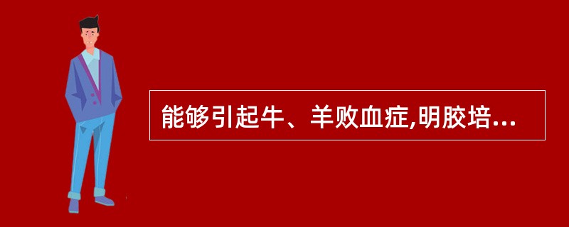 能够引起牛、羊败血症,明胶培养基培养呈漏斗状生长的病原是( )