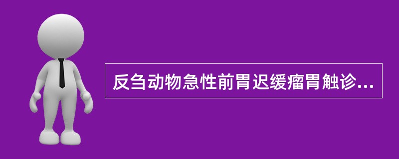 反刍动物急性前胃迟缓瘤胃触诊,其内容物A、有黏硬感B、坚硬C、紧张D、松软E、有