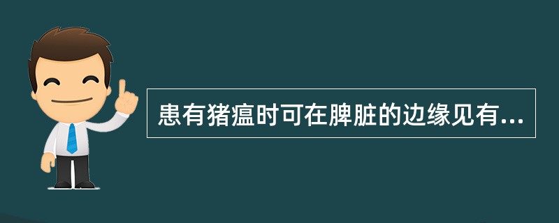 患有猪瘟时可在脾脏的边缘见有出血性梗死、脾脏A、不肿大B、肿大C、高度肿大D、先