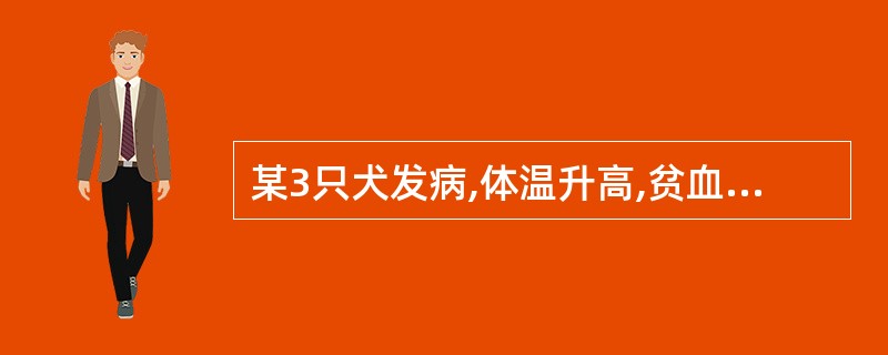 某3只犬发病,体温升高,贫血,开始在眼圈周围脱毛形成特殊的"眼镜",然后体毛大量