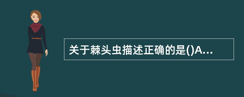 关于棘头虫描述正确的是()A、雌雄同体,卵生B、成虫寄生在脊椎动物的血液中C、雌