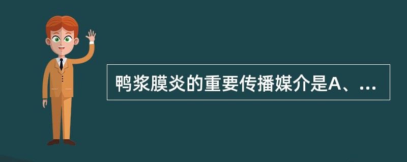 鸭浆膜炎的重要传播媒介是A、污染的粪便B、飞尘C、皮肤伤口D、库蚊叮咬E、污染的