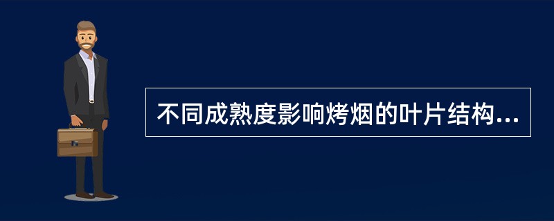 不同成熟度影响烤烟的叶片结构,成熟的烤烟叶片结构为( )。