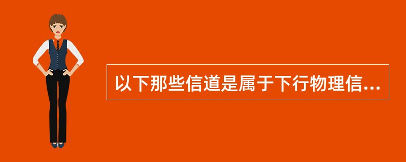 以下那些信道是属于下行物理信道()。