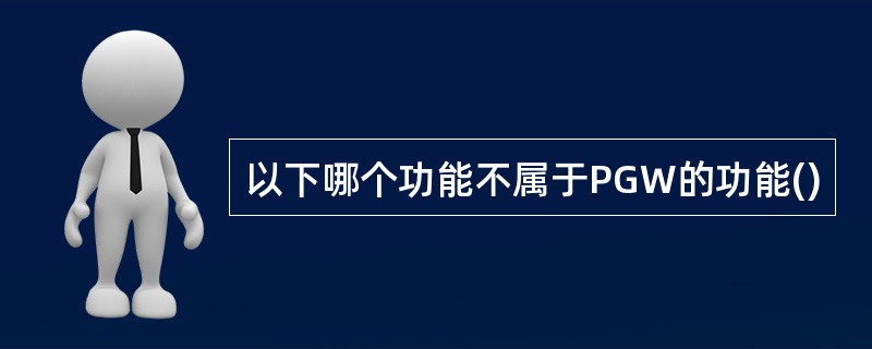 以下哪个功能不属于PGW的功能()