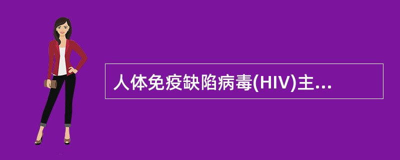 人体免疫缺陷病毒(HIV)主要感染的细胞是