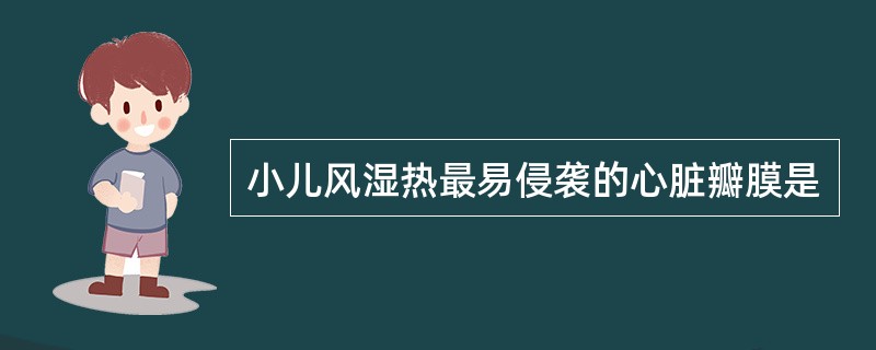 小儿风湿热最易侵袭的心脏瓣膜是