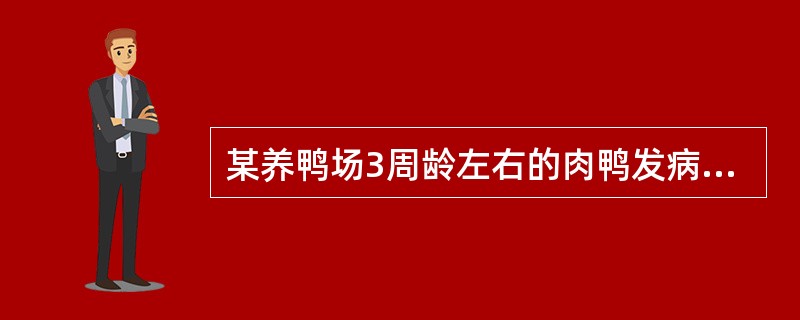 某养鸭场3周龄左右的肉鸭发病死亡,解剖主要病变为纤维素性肝周炎、心包炎和气囊炎,