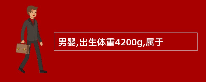 男婴,出生体重4200g,属于