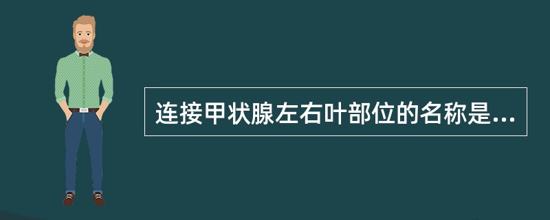 连接甲状腺左右叶部位的名称是A、锥状叶B、尾状叶C、舌叶D、峡部E、喉头