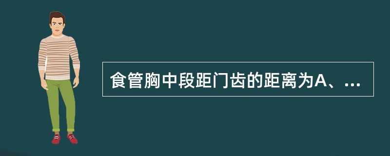 食管胸中段距门齿的距离为A、20~25cmB、30~32cmC、35~40cmD