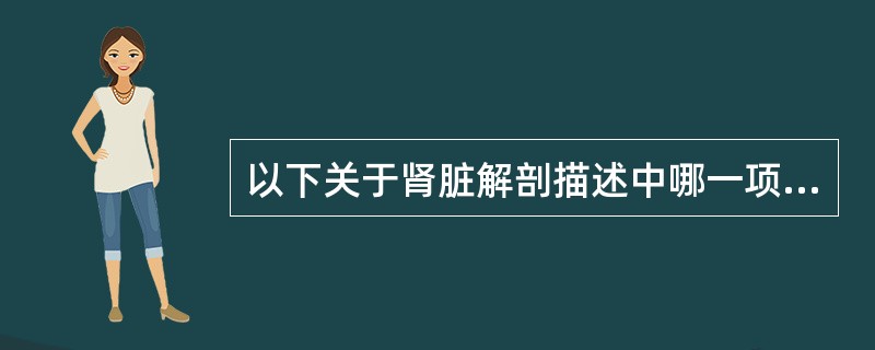 以下关于肾脏解剖描述中哪一项是错误的A、肾脏位于腹膜后脊柱两旁的肾窝内B、左肾较