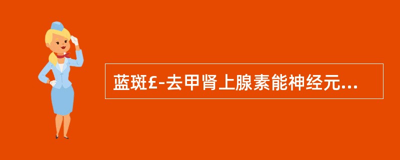 蓝斑£­去甲肾上腺素能神经元£¯交感£­肾上腺髓质系统的中枢位点是()。