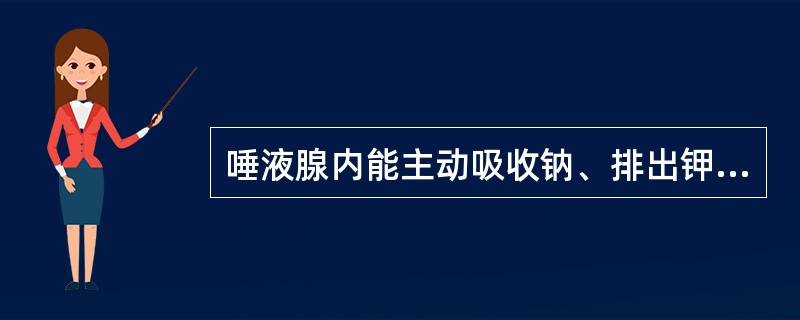 唾液腺内能主动吸收钠、排出钾、转运水、改变唾液渗透压的是()