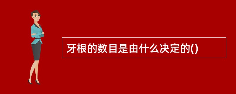 牙根的数目是由什么决定的()