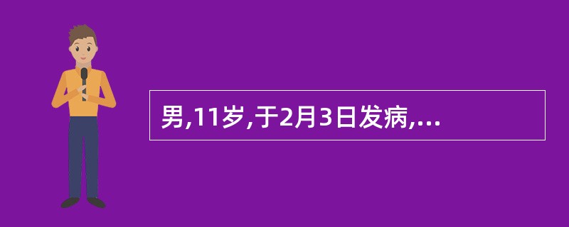 男,11岁,于2月3日发病,突起高热,头痛,呕吐2天入院。体检见全身皮肤有淤点、