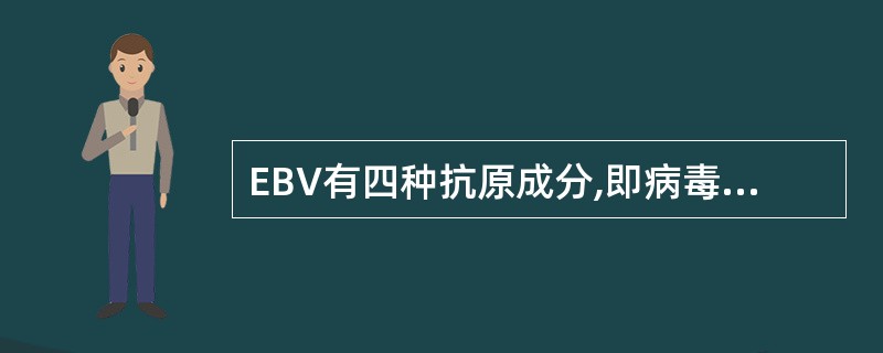 EBV有四种抗原成分,即病毒衣壳抗原(VcA)、膜抗原(MA)、补体结合抗原(可