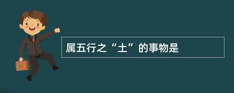 属五行之“土”的事物是