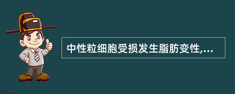 中性粒细胞受损发生脂肪变性,胞浆中出现