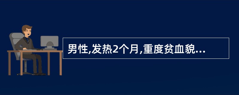 男性,发热2个月,重度贫血貌,浅表淋巴结不大,肝肋下lcm,脾肋下仅可及,WBC