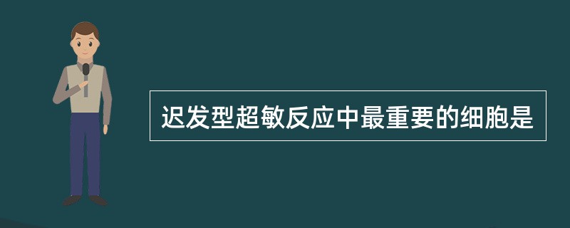 迟发型超敏反应中最重要的细胞是