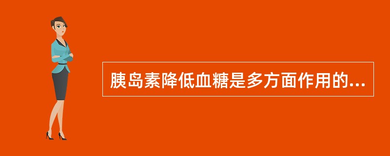 胰岛素降低血糖是多方面作用的结果,但不包括