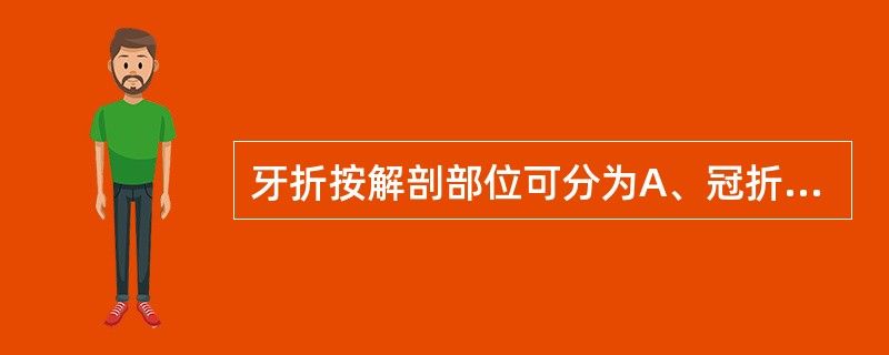 牙折按解剖部位可分为A、冠折B、根折C、冠根联合折D、根纵裂E、A£«B£«C