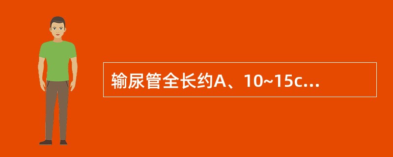 输尿管全长约A、10~15cmB、15~25cmC、25~30cmD、30~35
