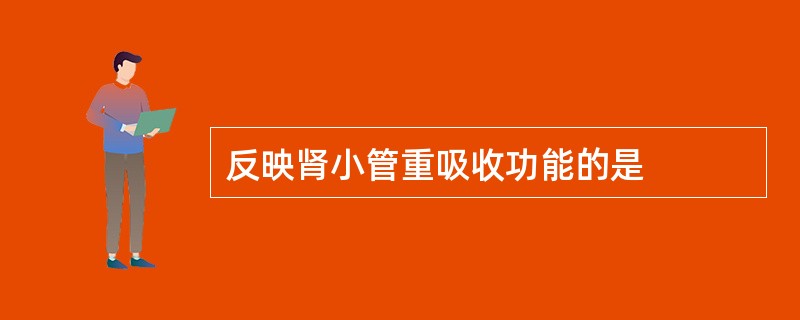 反映肾小管重吸收功能的是