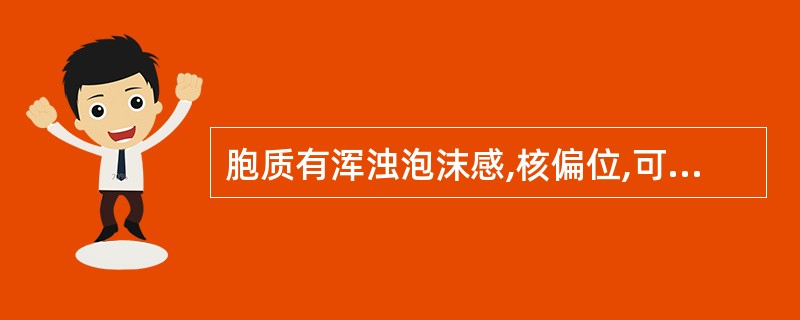 胞质有浑浊泡沫感,核偏位,可见核旁淡染区,核染色质呈车轮状,该细胞是