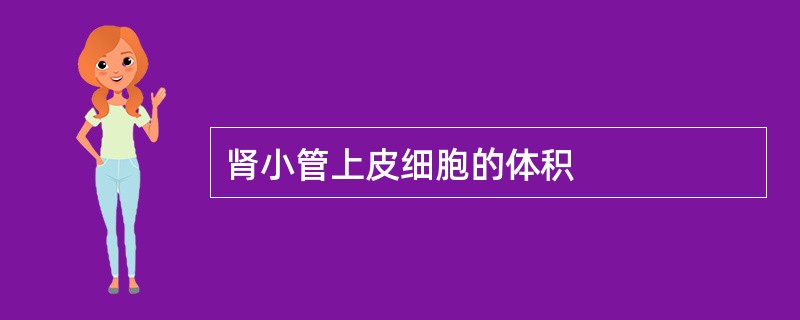 肾小管上皮细胞的体积