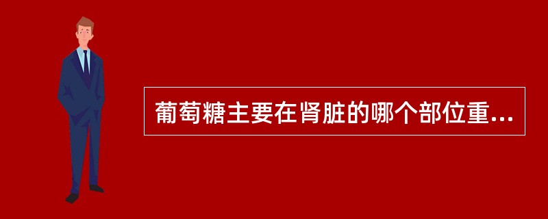 葡萄糖主要在肾脏的哪个部位重吸收