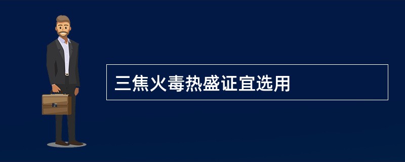 三焦火毒热盛证宜选用