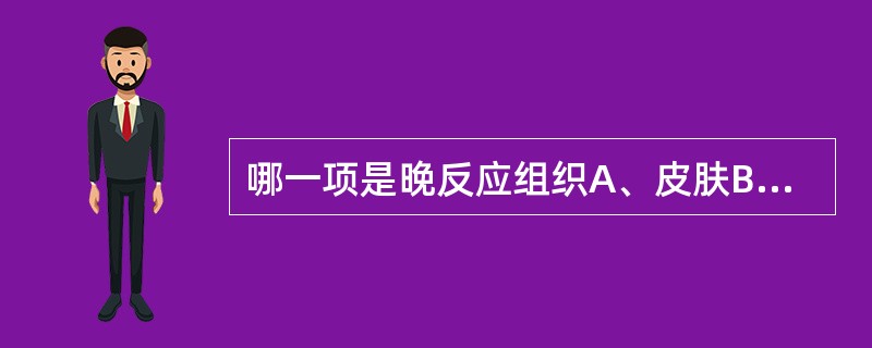 哪一项是晚反应组织A、皮肤B、黏膜C、睾丸D、造血系统E、肺