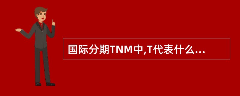 国际分期TNM中,T代表什么A、转移癌B、淋巴结转移癌C、肝转移癌D、原发肿瘤E