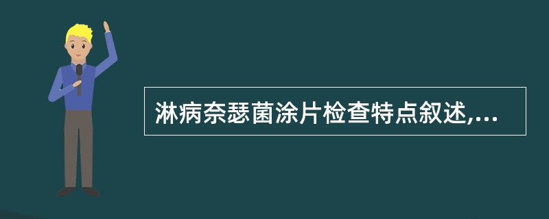 淋病奈瑟菌涂片检查特点叙述,错误的是