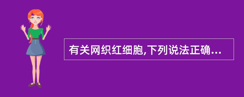 有关网织红细胞,下列说法正确的是A、它是介于晚幼红细胞和成熟红细胞之间的未完全成