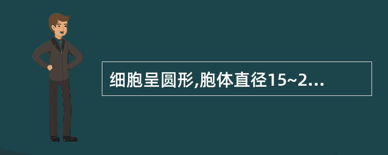 细胞呈圆形,胞体直径15~20tLm胞核较大,圆形,核染色质纤细,呈疏松网状,核