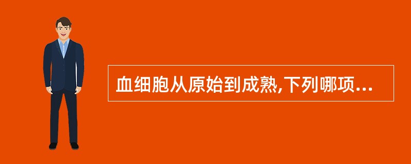 血细胞从原始到成熟,下列哪项符合血细胞发育的一般规律
