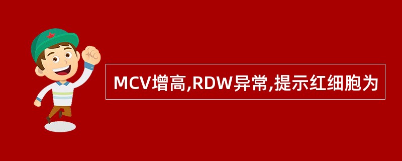MCV增高,RDW异常,提示红细胞为