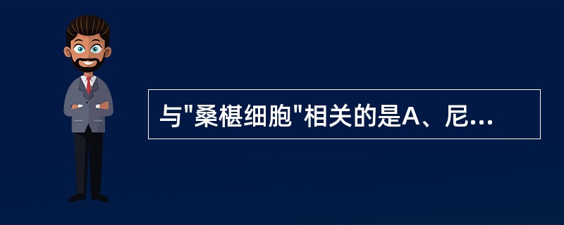 与"桑椹细胞"相关的是A、尼曼£­匹克细胞B、戈谢细胞C、淋巴细胞D、浆细胞E、