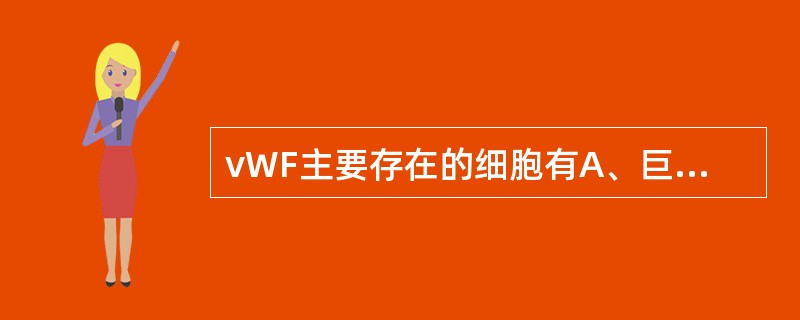 vWF主要存在的细胞有A、巨核细胞B、血小板C、红细胞D、白细胞E、内皮细胞 -