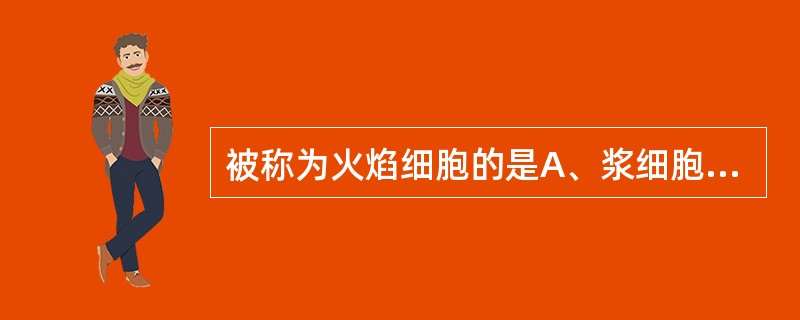 被称为火焰细胞的是A、浆细胞B、淋巴瘤细胞C、单核细胞D、早幼红细胞E、肥大细胞