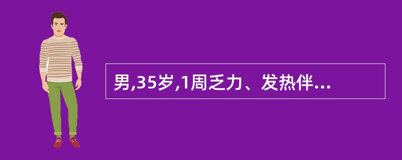 男,35岁,1周乏力、发热伴牙龈肿胀出血。化验Hb65g£¯L,WBC3.0×1