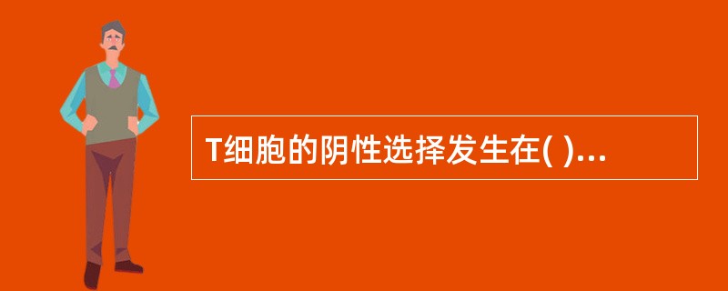 T细胞的阴性选择发生在( )A、双阳性期B、双阴性期C、单阳性期D、前T细胞期E