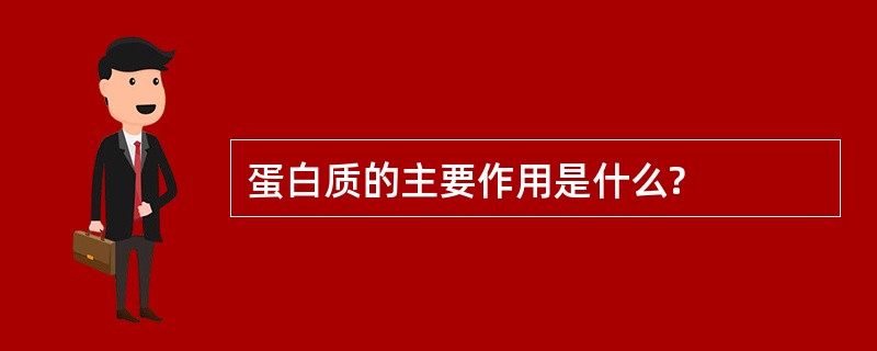 蛋白质的主要作用是什么?