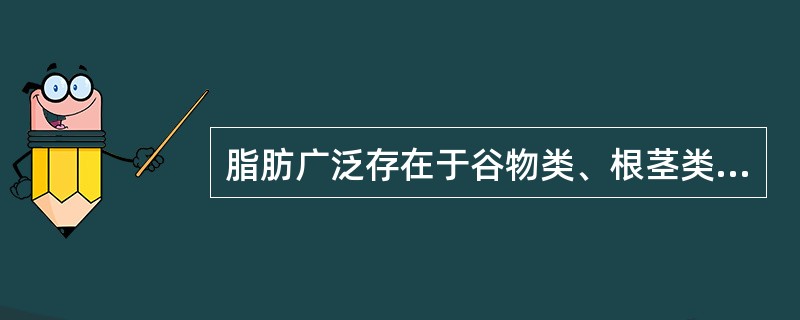 脂肪广泛存在于谷物类、根茎类、食糖、水果、蔬菜中。()